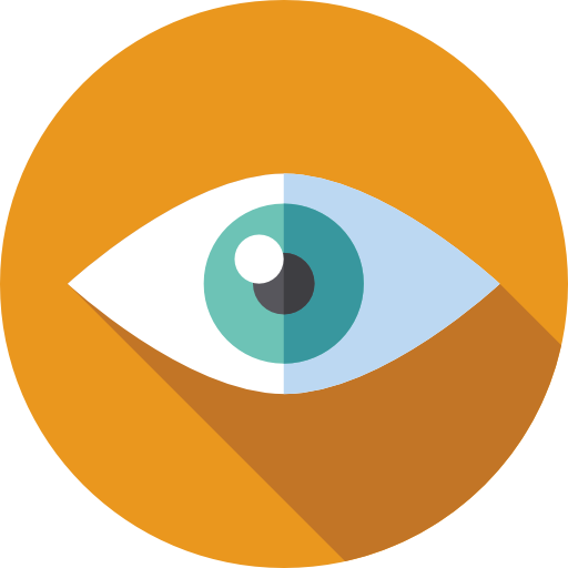 vision vision